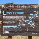 지리산꽃담 | 구례 산동에 산수유꽃