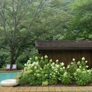 썬울타리 | 양산 위하우스 평상 대여 후기 및 자리 추천