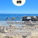 국립청소년해양센터 | 영덕 바다 물놀이 추천｜아이와 가기 좋은 바다 여행지｜영덕 국립청소년해양센터 해양환경체험관