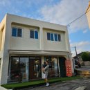 대가미공원 | 충주 애견동반 에그타르트 맛집 교현동 카페대가미