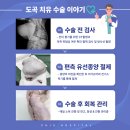 도곡치유동물병원 이미지