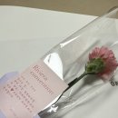 w2. 창원 웨딩홀 투어/계약 후기(리베라컨벤션, 인터네셔널호텔 비교)
