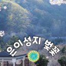 한국외국어대학교 글로벌캠퍼스 농구장