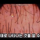 새론에너지 이미지