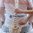 연세올바른정형외과의원 이미지