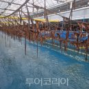 전라남도청사(호남관리) 이미지