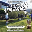 블리스독 네이버블로그
