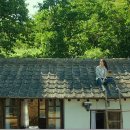 리틀포레스트 - 거제시 덕포2길 47-2 | 리틀포레스트