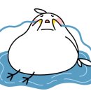 연우롭다 네이버블로그
