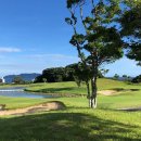 뉴웨이골프 이미지