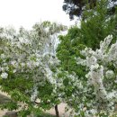 김병옥농장 이미지