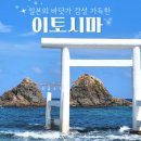마이유유