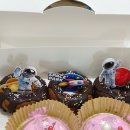 장성초 병설유치원 이미지