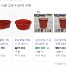 백화등정원 이미지