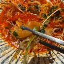 탐라물회 | 신당역맛집 신선한 육회와 해산물이 가득한 탐라육해