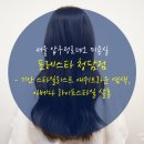 청담라이프 이미지