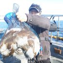 비응항PC 이미지