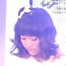 샤플리 Daum카페