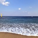 송월농장 | 강릉양양 1박2일 여행 일정｜직접 다녀온 맛집 위주 추천 동선