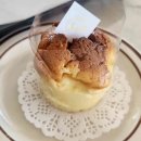 더 포레 동물병원 이미지