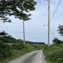 힐담(힐링을담다) 이미지