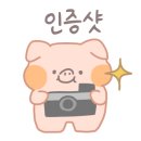 파피쉪 이미지