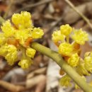 더주민행정사사무소 이미지