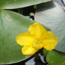 룸비니유치원 이미지