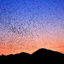 태화강방문자센터 여울 이미지