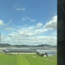 유경시트 이미지
