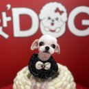 핫도그애견샵 이미지