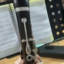 덕성경로당 | [대학생 블로그] 첫 동아리로 아마추어오케스트라에 들어갔다