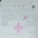 성심정형외과의원 | 거북목 심해지면 결국 목 디스크? 제가 겪은 초기 증상과 치료법 (도수치료 후기)