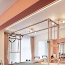 비바라짐 이미지