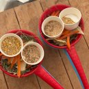 맹리 | 용인 실내 아이와 가볼만한곳ㅣ실내동물원과 딸기체험이 있는 포레스트벨 방문후기