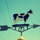 녹원목장 이미지