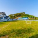 소라잡는댕댕이 이미지