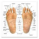 발 지압을 자주 해주면 혈액 순환이 잘되 요통 ,심장,당뇨 이미지