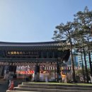 차담 | 서울 템플스테이 당일 체험 후기｜스님과의 차담으로 얻은 육아 힐링 시간