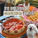 애견취향 | 양양 애견동반 싱글핀에일웍스, 취향대로 고르는 힙한 피자 맛집