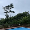 낮은굴뚝 애견펜션 이미지