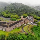 호텔보보스 이미지