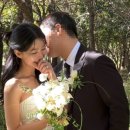 비크하우스 이미지