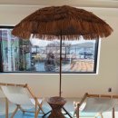 둥둥목장 이미지