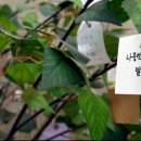 비상시설(테스트)