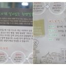 미스터 통밀
