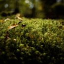 군포주몽종합사회복지관 이미지