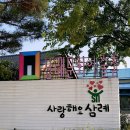 대승투어 이미지