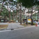 회동솔향캠핑장 이미지