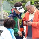 행운모사